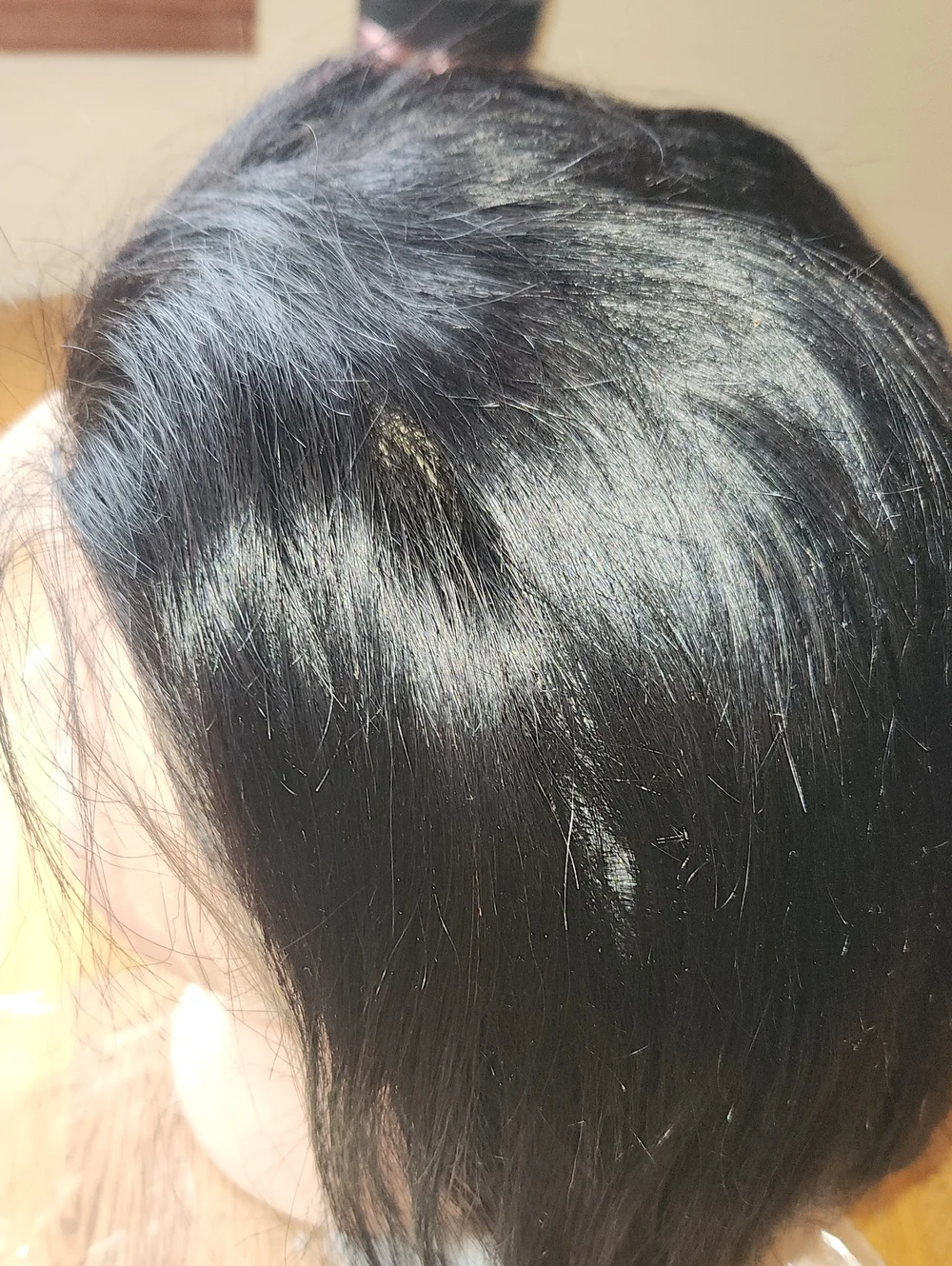 Black 8 Inche Wig
